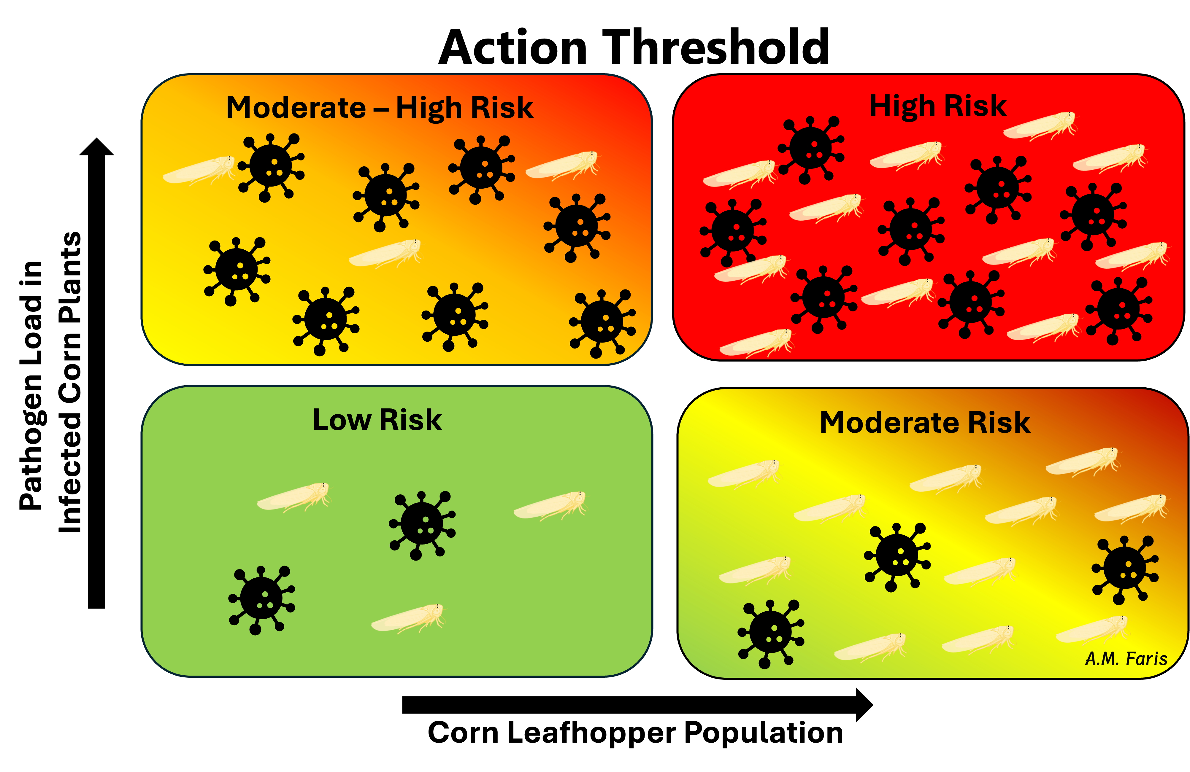 An action threshold diagram showing pathogen load in infected corn plants increasing upward and corn leafhopper population increasing rightward. Four areas indicate low, moderate, moderate-high, and high risk based on pathogen load and leafhopper population.