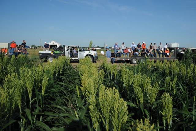 People are standing and sitting down on flatbed trailers and a truck in front of a field while listening to a presenter.