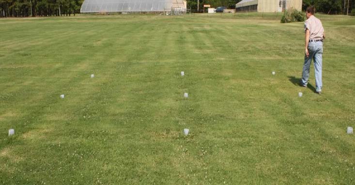 rain gauge rain gauge