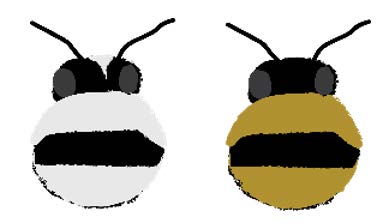 A white and black bee head illustration and a yellow and black illustration.