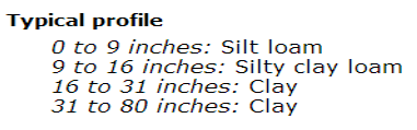 A Typical profile labeled "0 to 9 inches: Silt loam, 9 to 16 inches: Silty clay loam, 16 to 31 inches: Clay, 31 to 80 inches: Clay." A Typical profile labeled "0 to 9 inches: Silt loam, 9 to 16 inches: Silty clay loam, 16 to 31 inches: Clay, 31 to 80 inches: Clay."