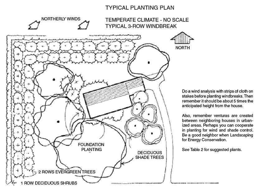 This diagram shows another typical planting plan with evergreen trees and shrubs to the norm and deciduous trees to the south. This diagram shows another typical planting plan with evergreen trees and shrubs to the norm and deciduous trees to the south.