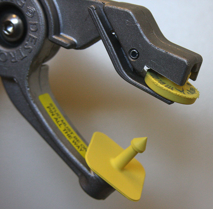 Proper placement of an ear tag in a tag applicator