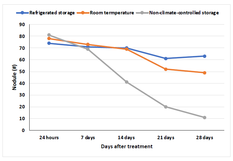 A line graph with the x-axis showing the Nodule # from 0 to 90 and the y-axis showing the days after treatment from 24 hours to 28 days. The blue line is the refrigerated storage, the orange line is room temperature, and the grey line is non-climate-controlled storage. The blue line shows 75 at 24 hours, 70 at 7 days, 70 at 14 days, 60 at 21 days and 60 at 28 days. The orange line shows 80 at 24 hours, 70 at 7 days, 70 at 14 days, 50 at 21 days and 50 at 28 days. The grey line shows 80 at 24 hours, 70 at 7 days, 40 at 14 days, 20 at 21 days and 10 at 28 days.
