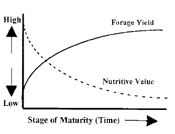  Effect of stage of maturity on forage yield and forage nutritive value.