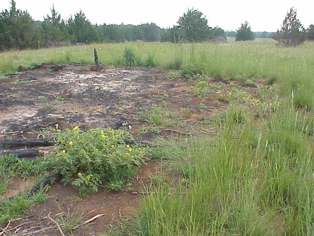 Bare soil is left after the burn pile goes out.