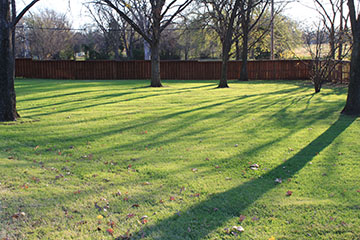 Shaded area of grass.