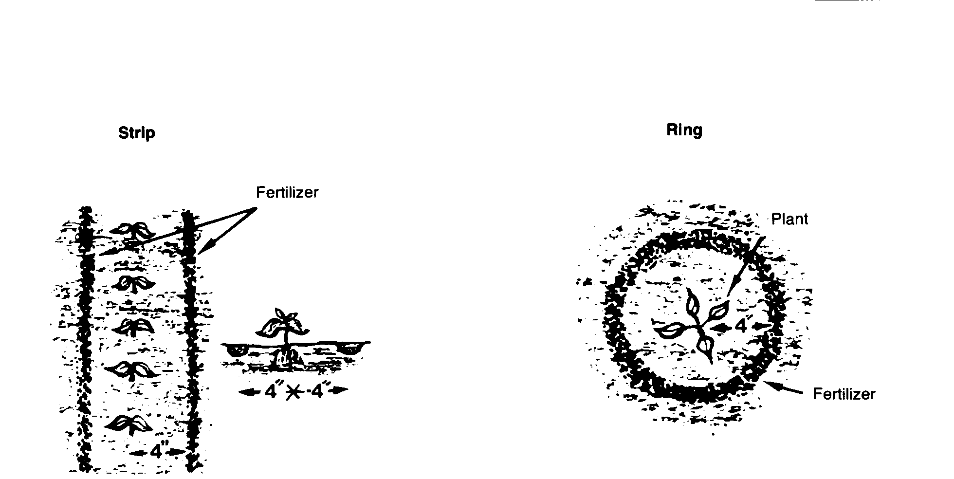 Fertilización Lateral