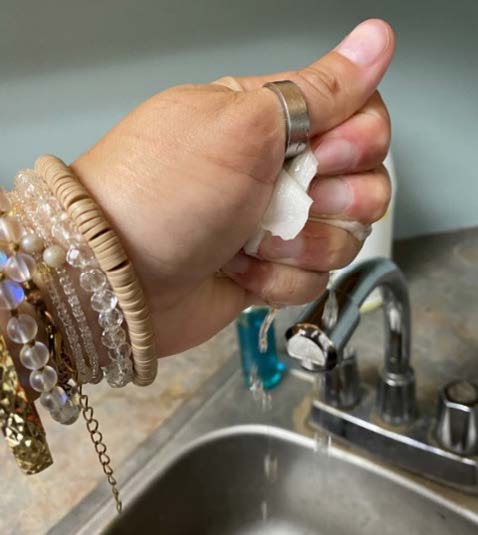 Squeeze out as much excess moisture as possible out of a paper towel to prevent mold. Photo by Peyton Osborne, Oklahoma State University.