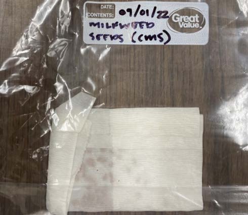 Place the folded paper towel into a labeled sandwich bag and seal it. Photo: Peyton Osborne, Oklahoma State University.