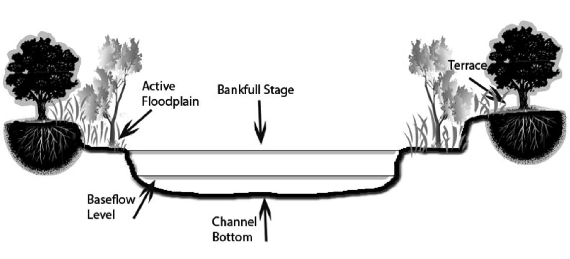 Cross-section of stream corridor with major components labeled
