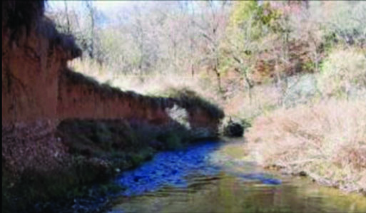 Honey Creek Restoration Project in Northeast Oklahoma (before).