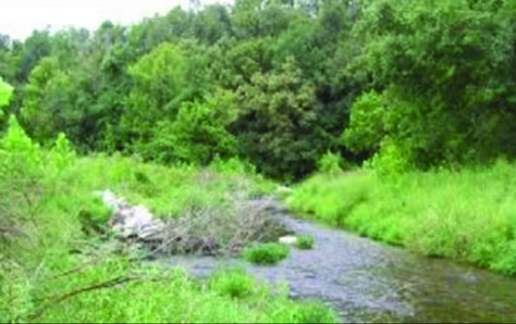 Honey Creek Restoration Project in Northeast Oklahoma (after).