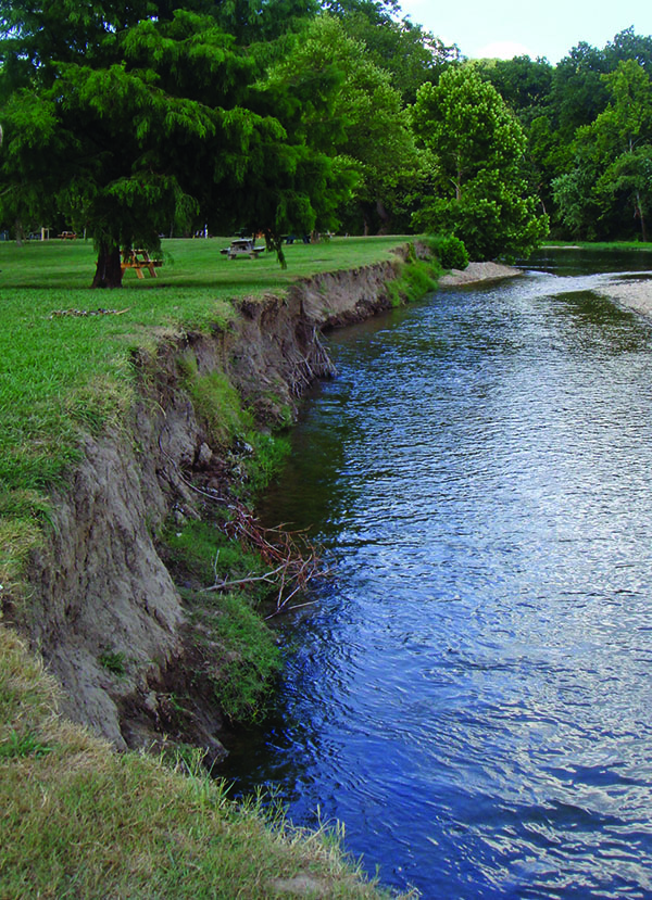 An example of bank erosion and land loss on the Illinois River.