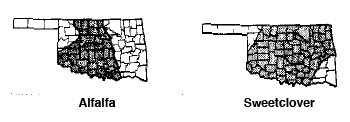State of Oklahoma showing Alfalfa and Sweetclover. State of Oklahoma showing Alfalfa and Sweetclover.