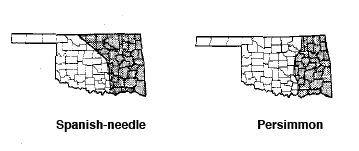 State of Oklahoma showing Spanish-needle and Persimmon State of Oklahoma showing Spanish-needle and Persimmon