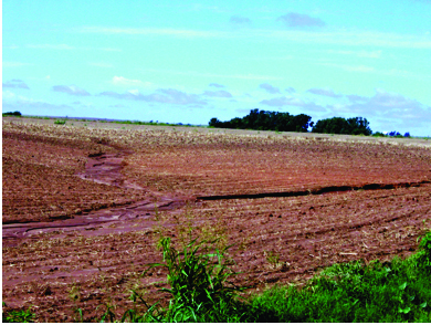 No-till Wheat Production in Oklahoma | Oklahoma State University
