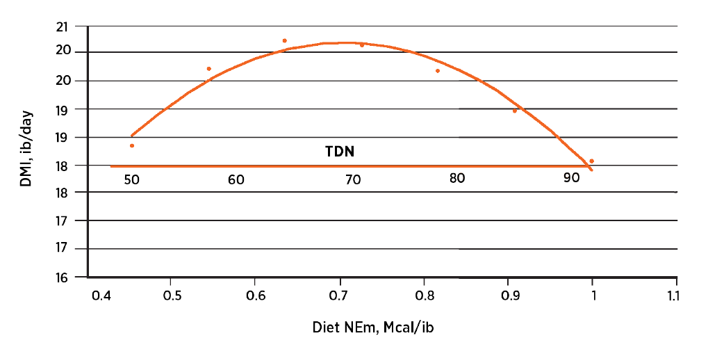 Nutrient Requirements of Beef Cattle | Oklahoma State University