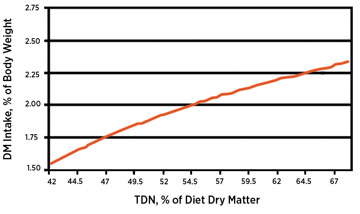 Relationship of forage digestibility to dry matter intake in beef cows..