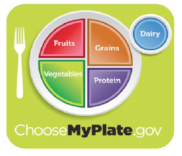 Chose MyPlate.gov - fruits, grains, diary, protein and vegetables.