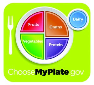 ChooseMyPlate.gov - fruits, grains, protein, vegetables and dairy.