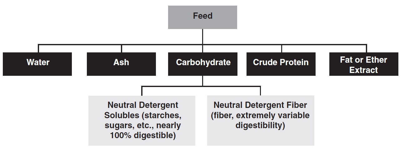 The nutrient components and detergent fiber system. 
