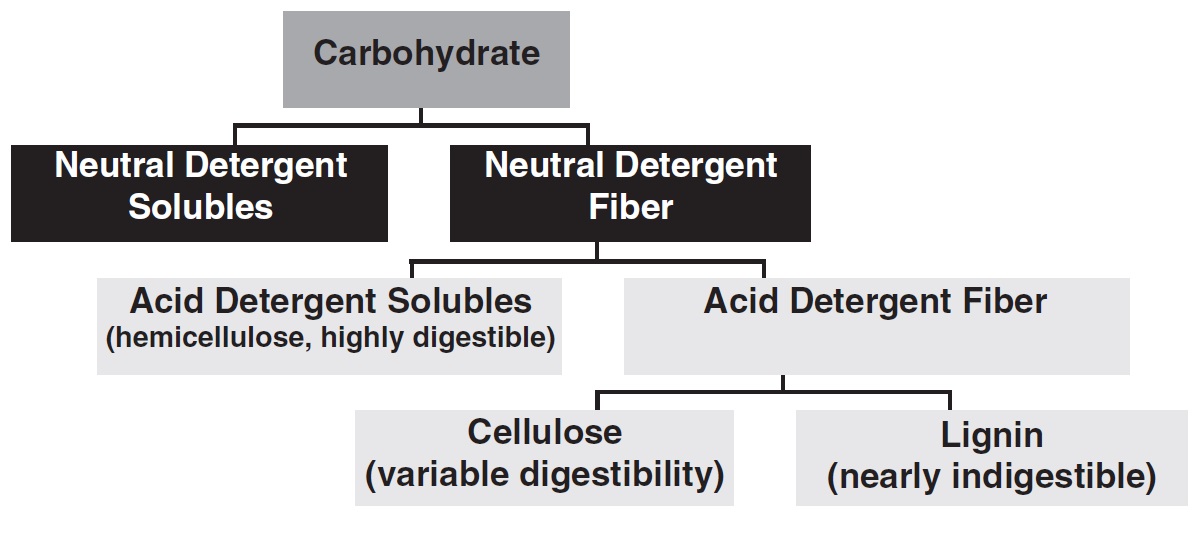 Distribution of fiber fractions under carbohydrates in the detergent fiber system. 