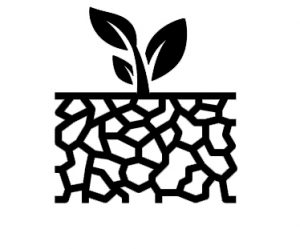  A clipart of a plant coming out of the ground.