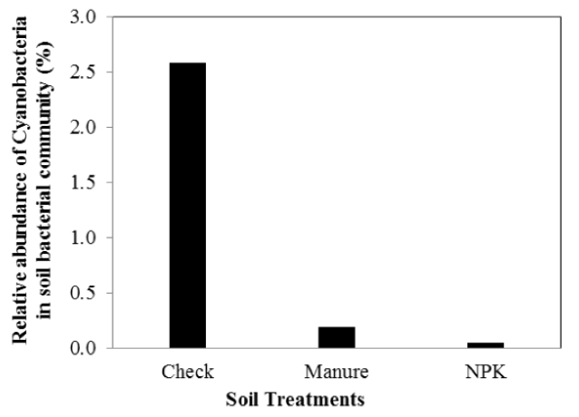 A graph of the relative abundance of cyanobacteria in the Magruder Plots.