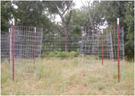 A round compost bin built from t-posts and net wire.