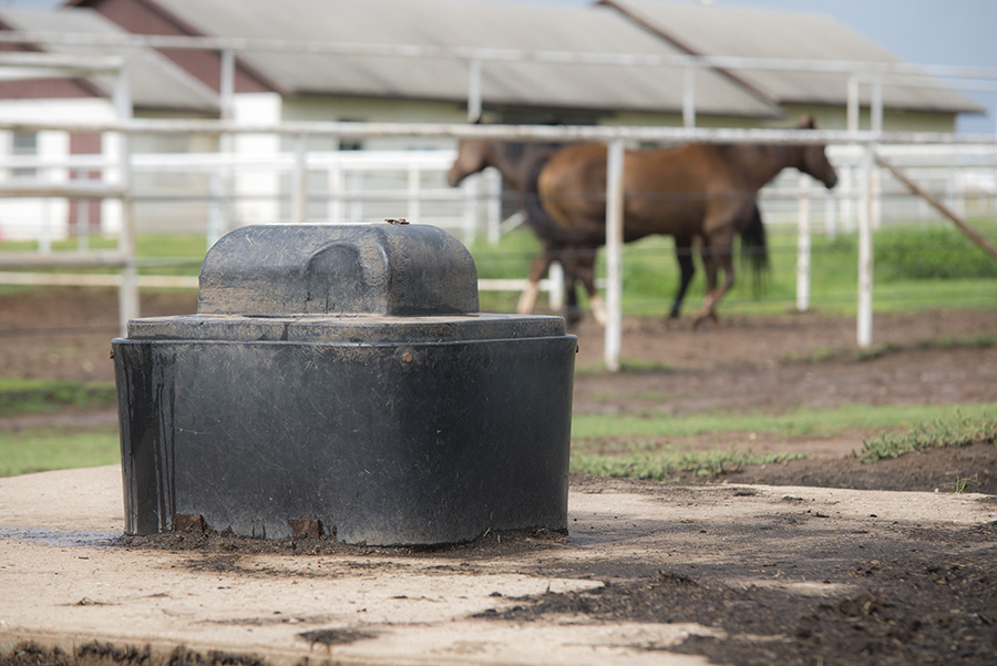Water container with horses in the background.