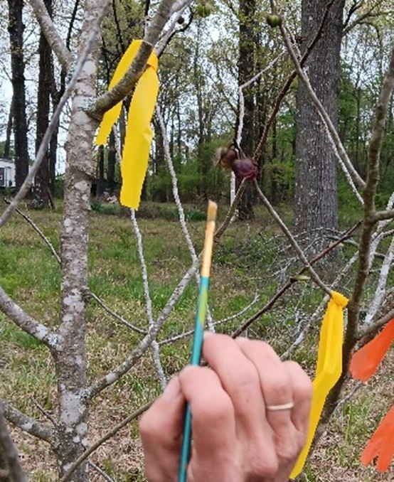 One hand holding a small paintbrush marking a branch.