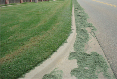 Grass clippings on the street.
