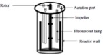 Schematic diagrams of various closed photobioreactor designs.