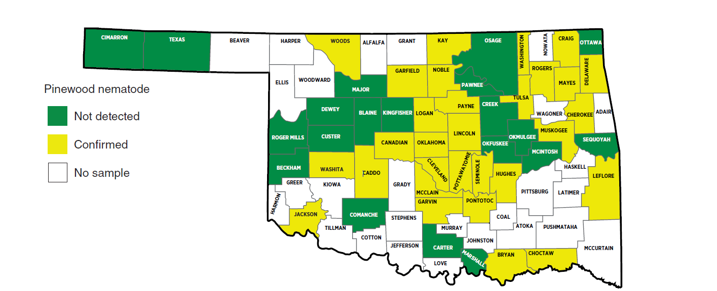 Map of the counties marked in green to show where pinewood nematodes were not recovered.