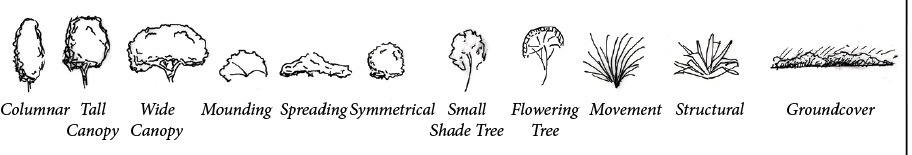 Examples of form and shape of different plants. Examples of form and shape of different plants.