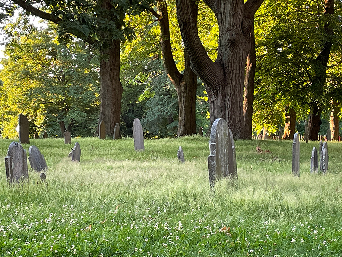 Old cemetery with weathered headstones among tall grass and large trees in warm sunlight, peaceful historic graveyard landscape.