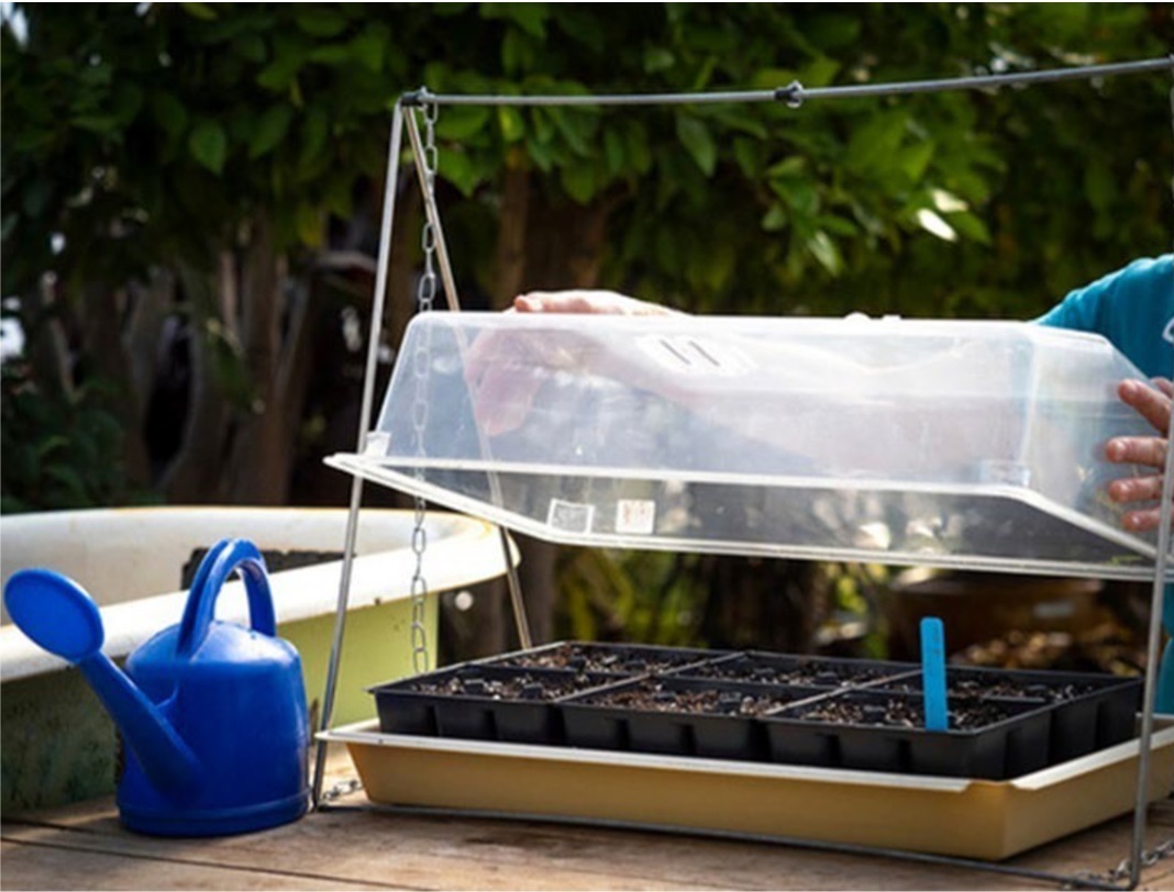 A dome maintains high humidity for better seed germination.