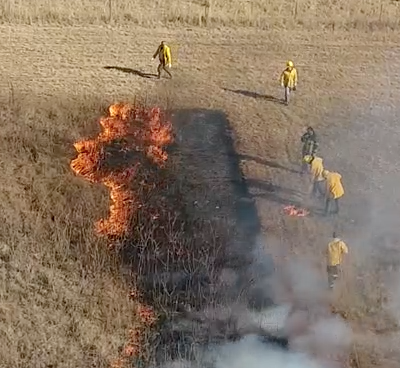 Firefighters attending a prescribed fire.