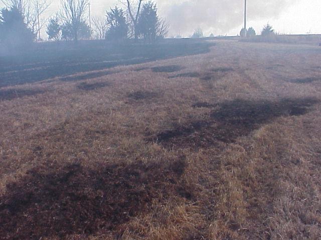 Burned spots in a pasture.