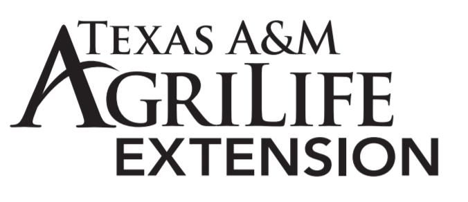 Texas A and M Extension