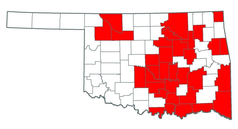 Oklahoma map showing where Mimosa or Silktrees can be found.