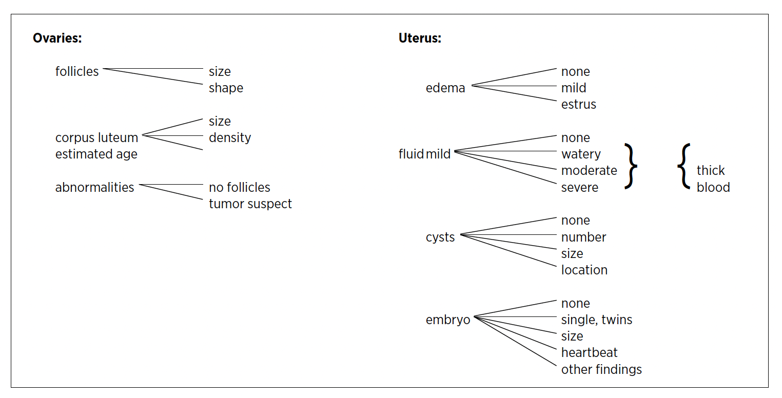 Ultrasound examination, showing that Ovaries are: follicles connected to size and shape, corpus luteum estimated age connected to size and density and abnormalities connected to no follicles tumor suspect. Uterus: Edema is connected to none, mild and estrus, the fluid mild is connected to none, watery, moderate and severe, the cysts are connected to none, number, size and location and the embryo is connected to none, single twins, size, heartbeat and other findings.