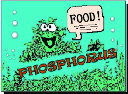 A cartoon of a green pile of phosphorus with a comment bubble saying, "Food!"