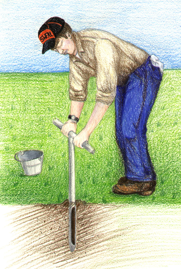 Illustration of a man bent over to use a soil probe to collect a soil sample.