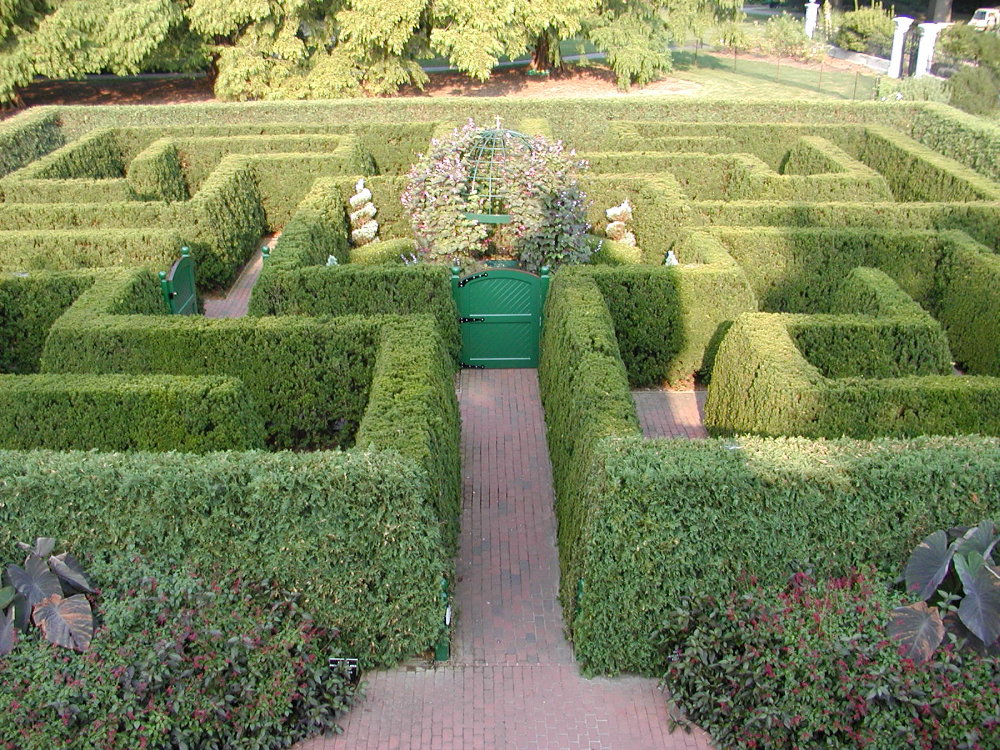 Shrubs pruned in a formal fashion can be used to create fun and creative garden designs.