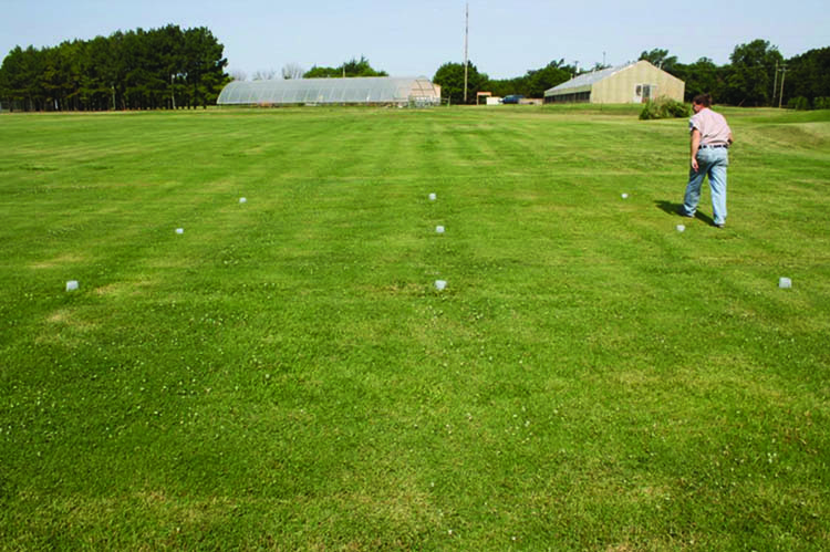 Layout of irrigation catch cups in a grid pattern.