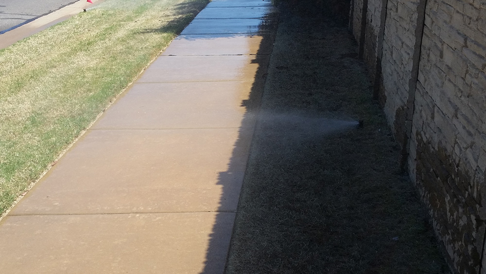 Sprinkler head spraying a sidewalk.