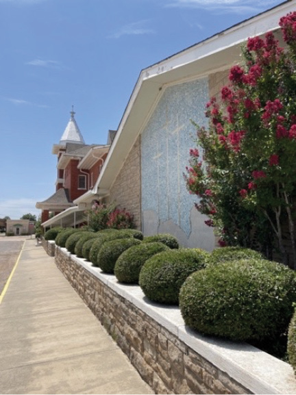 A row of green shrubs next to a building on a sidewalk.
