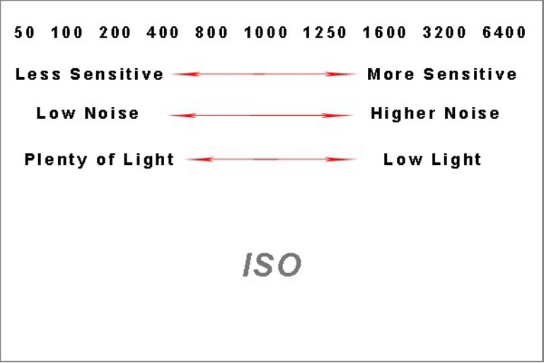 ISO Chart that shows the scaling difference between less sensitive, low noise and plenty of light at a 50 while more sensitive, higher noise and low light is at a 6400.